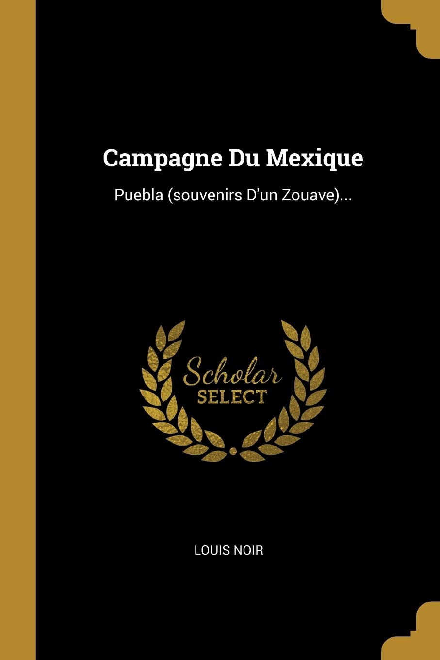 Campagne Du Mexique: Puebla (souvenirs D'un Zouave)... (French Edition)