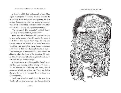 Lion, the Witch and the Wardrobe