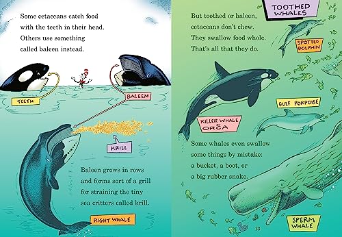 A Whale of a Tale! All About Porpoises, Dolphins, and Whales (The Cat in the Hat's Learning Library)