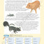 Evan-Moor Skill Sharpeners: Spell & Write, Grade 4