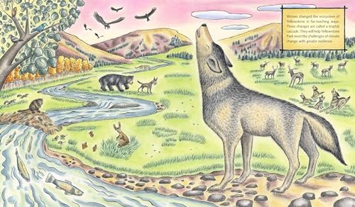 The Wolf Effect: A Wilderness Revival Story (A Voice of the Wilderness Picture Book)