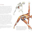 Scientific Keys Vol. II: The Key Poses of Hatha Yoga