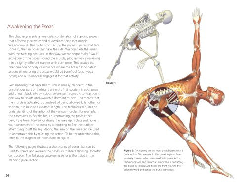 Scientific Keys Vol. II: The Key Poses of Hatha Yoga