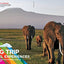 The Big Trip: Your Ultimate Guide to Gap Years and Overseas