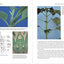 Botany for Gardeners, 3rd Edition