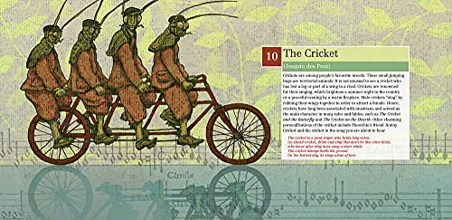 Little Creatures: An Introduction to Classical Music