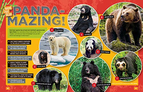 Absolute Expert: Pandas: All the Latest Facts From the Field With National Geographic Explorer Mark Brody