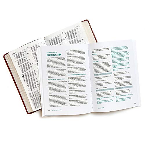 Finding God Faithful - Bible Study Book: A Study on the Life of Joseph (Living Room)