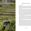 Vino: The Essential Guide to Real Italian Wine