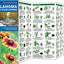 Oklahoma Trees and Wildflowers : An Introduction to Familiar Species (Pocket Naturalist - Waterford Press) (Wildlife and Nature Identification)