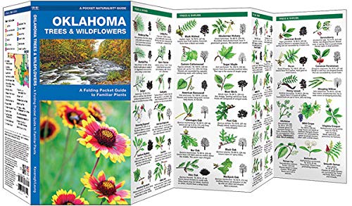 Oklahoma Trees and Wildflowers : An Introduction to Familiar Species (Pocket Naturalist - Waterford Press) (Wildlife and Nature Identification)