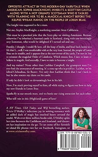 Wild Scottish Knight (The Enchanted Highlands)