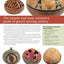 Complete Book of Gourd Carving, Revised & Expanded: Ideas and Instructions for Fretwork, Relief, Chip Carving, and Other Decorative Methods