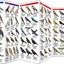 Ontario Birds: A Folding Pocket Guide to Familiar Species (Wildlife and Nature Identification)