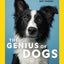 National Geographic Genius of Dogs