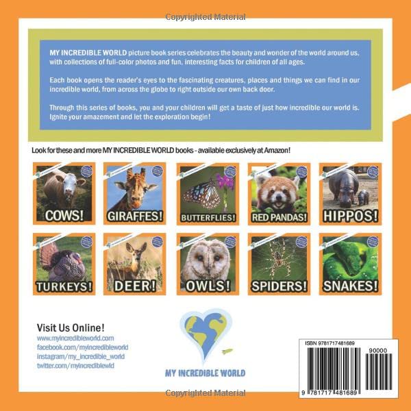 Goats!: A My Incredible World Picture Book for Children (My Incredible World: Nature and Animal Picture Books for Children)