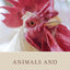 Animals and World Religions