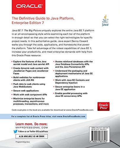 Java EE 7: The Big Picture