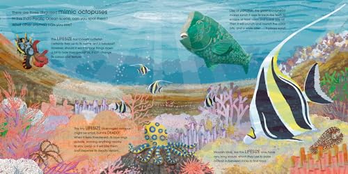 Red Shed Lifesize Ocean Animals.