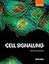 Cell Signalling