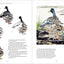 The Beginner's Guide to Chinese Painting: Farm Animals and Pets