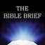 Bible Summary - The Bible Brief: A Bible Summary, Study, & Reference Guidebook