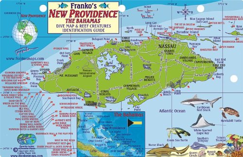 New Providence Bahamas Dive Map & Reef Creatures Guide Franko Maps Laminated Fish Card