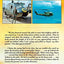 Black Cat 2-1: The True Story of a Vietnam Helicopter Pilot and His Crew