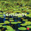 Lensbaby: Bending your perspective