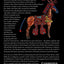 The Horse in Human History