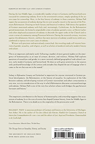 Sodomy in Reformation Germany and Switzerland, 1400-1600 (The Chicago Series on Sexuality, History, and Society)