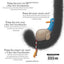 Splat the Cat: Splat and the New Baby