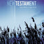 NIV, Outreach New Testament, Large Print, Paperback