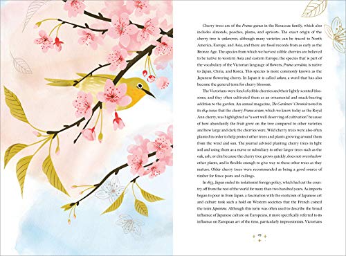 The Language of Flowers: A Fully Illustrated Compendium of Meaning, Literature, and Lore for the Modern Romantic