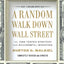 A Random Walk Down Wall Street: The Time-Tested Strategy for Successful Investing