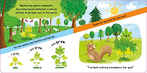 Little Acorn by IglooBooks