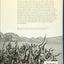 Desert Insurgency: Archaeology, T. E. Lawrence, and the Arab Revolt