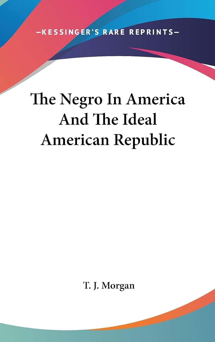 The Negro In America And The Ideal American Republic