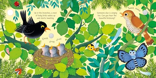 Bird Sounds: An Interactive Animal Activity Book Featuring Realistic Cuckoo and Duckling Calls (Sound Books)