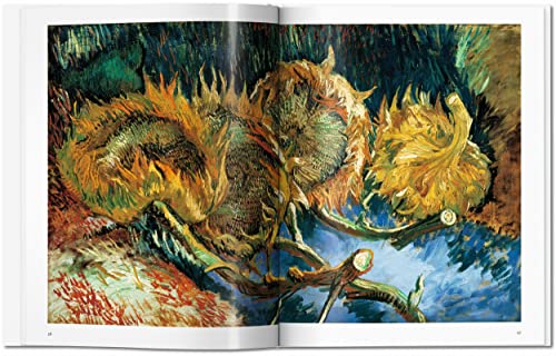 Vincent van Gogh: 1853-1890, Vision and Reality