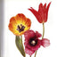 Flowers by Irving Penn (Hardcover)