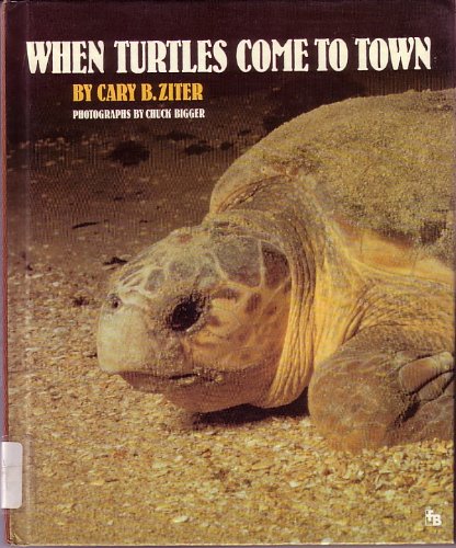 When Turtles Come to Town (First Book)