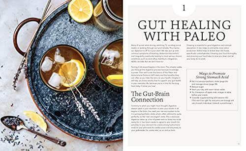 The Paleo Gut Healing Cookbook: 75 Nourishing Paleo + AIP Re