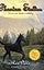 Rain Dance (Phantom Stallion #12)