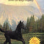 Rain Dance (Phantom Stallion #12)