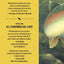 All Fishermen Are Liars (John Gierach's Fly-fishing Library)