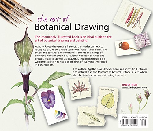The Art of Botanical Drawing: An Introductory Guide