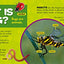 National Geographic Little Kids First Big Book of Bugs