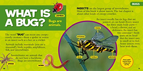 National Geographic Little Kids First Big Book of Bugs