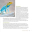 The Leopard Gecko Manual, 2nd Edition (CompanionHouse Books) Informative Guide to Care, Diet, Habitat, Breeding, Raising Hatchlings, Recognizing Diseases & Health Issues, Shedding, Tail Loss, and More